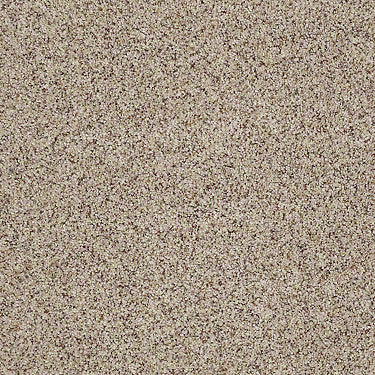 West Place I Residential Carpet