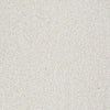 Venecia II Residential Carpet