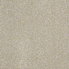 Venecia II Residential Carpet