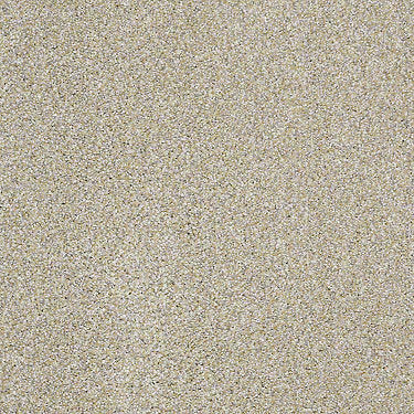 Venecia II Residential Carpet