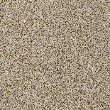 Venecia II Residential Carpet
