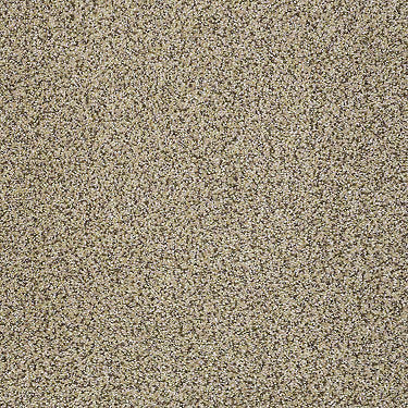 Venecia II Residential Carpet