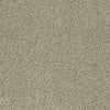 Venecia II Residential Carpet