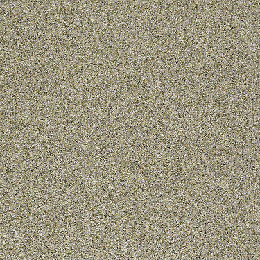 Venecia II Residential Carpet