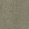 Venecia II Residential Carpet