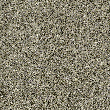 Venecia II Residential Carpet