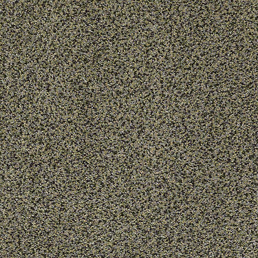 Venecia II Residential Carpet