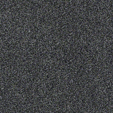 Venecia II Residential Carpet