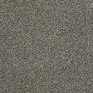 Venecia II Residential Carpet