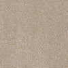 Venecia II Residential Carpet