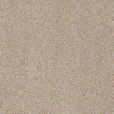Venecia II Residential Carpet
