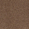Venecia II Residential Carpet