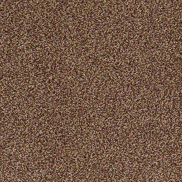 Venecia II Residential Carpet