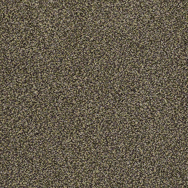 Venecia II Residential Carpet