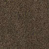 Venecia II Residential Carpet