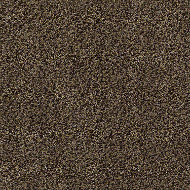 Venecia II Residential Carpet