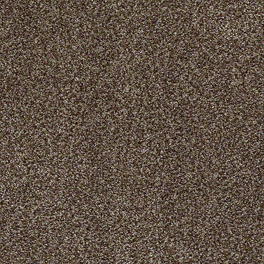 Venecia II Residential Carpet