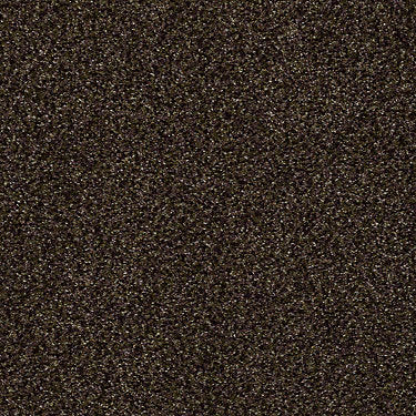 Venecia II Residential Carpet