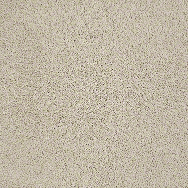 Del Morro Residential Carpet