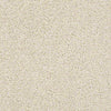 Del Morro Residential Carpet