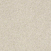 Del Morro Residential Carpet