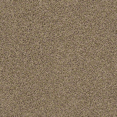 Del Morro Residential Carpet