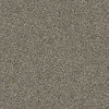 Del Morro Residential Carpet