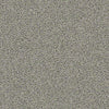 Del Morro Residential Carpet
