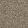 Del Morro Residential Carpet