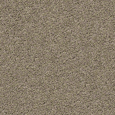 Del Morro Residential Carpet