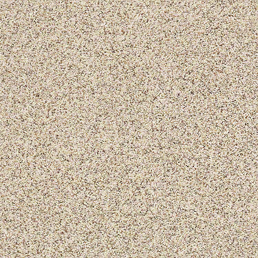 Carmel Coast Residential Carpet