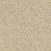 Carmel Coast Residential Carpet