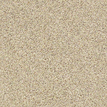 Carmel Coast Residential Carpet