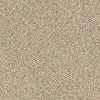 Carmel Coast Residential Carpet