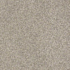 Carmel Coast Residential Carpet