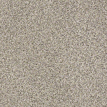 Carmel Coast Residential Carpet