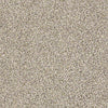 Carmel Coast Residential Carpet