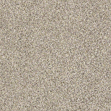 Carmel Coast Residential Carpet