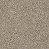Carmel Coast Residential Carpet