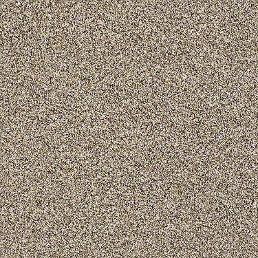Carmel Coast Residential Carpet