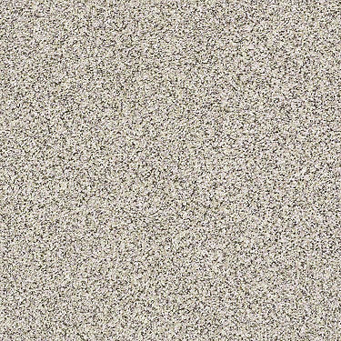 Carmel Coast Residential Carpet
