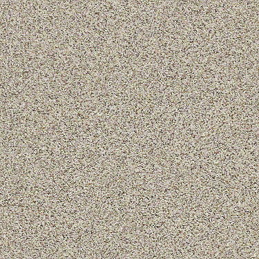 Carmel Coast Residential Carpet
