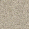 Carmel Coast Residential Carpet