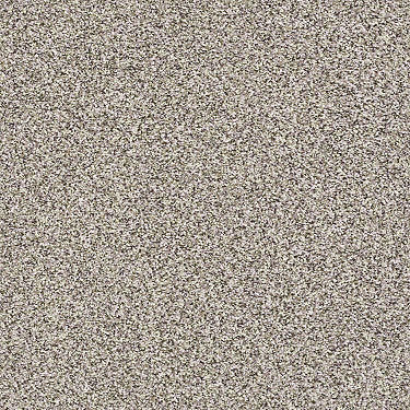 Carmel Coast Residential Carpet