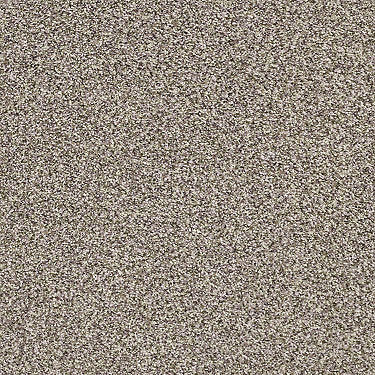 Carmel Coast Residential Carpet