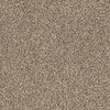 Carmel Coast Residential Carpet