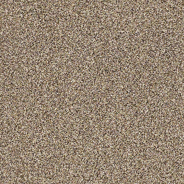 Carmel Coast Residential Carpet