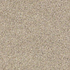 Carmel Coast Residential Carpet