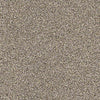 Carmel Coast Residential Carpet