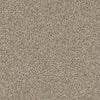 Carmel Coast Residential Carpet